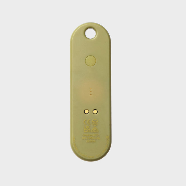 pistachio